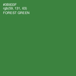 #3B833F - Forest Green Color Image